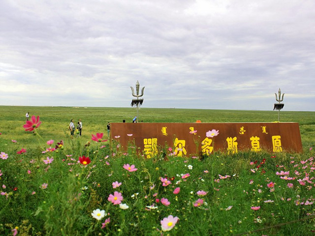 “追梦中华・生态优先”2019海外华文媒体鄂尔多斯采风行：内蒙古杭锦旗的公共文化服务体系建设成就显著