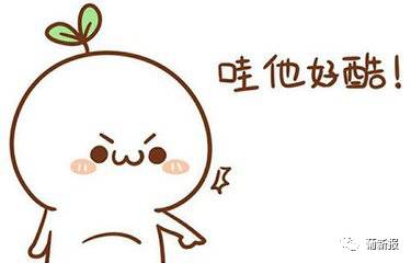 2017重头戏剧透:她他又来了!――“华媒看广东”活动启动 2017重头戏剧透:她他又来了!――“华媒看广东”活动启动