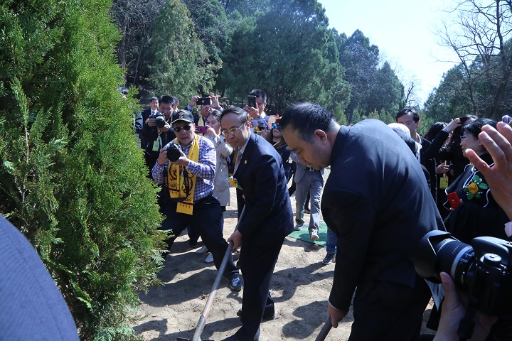 海内外中华儿女代表共同种植“侨心林”为桥山增添新绿