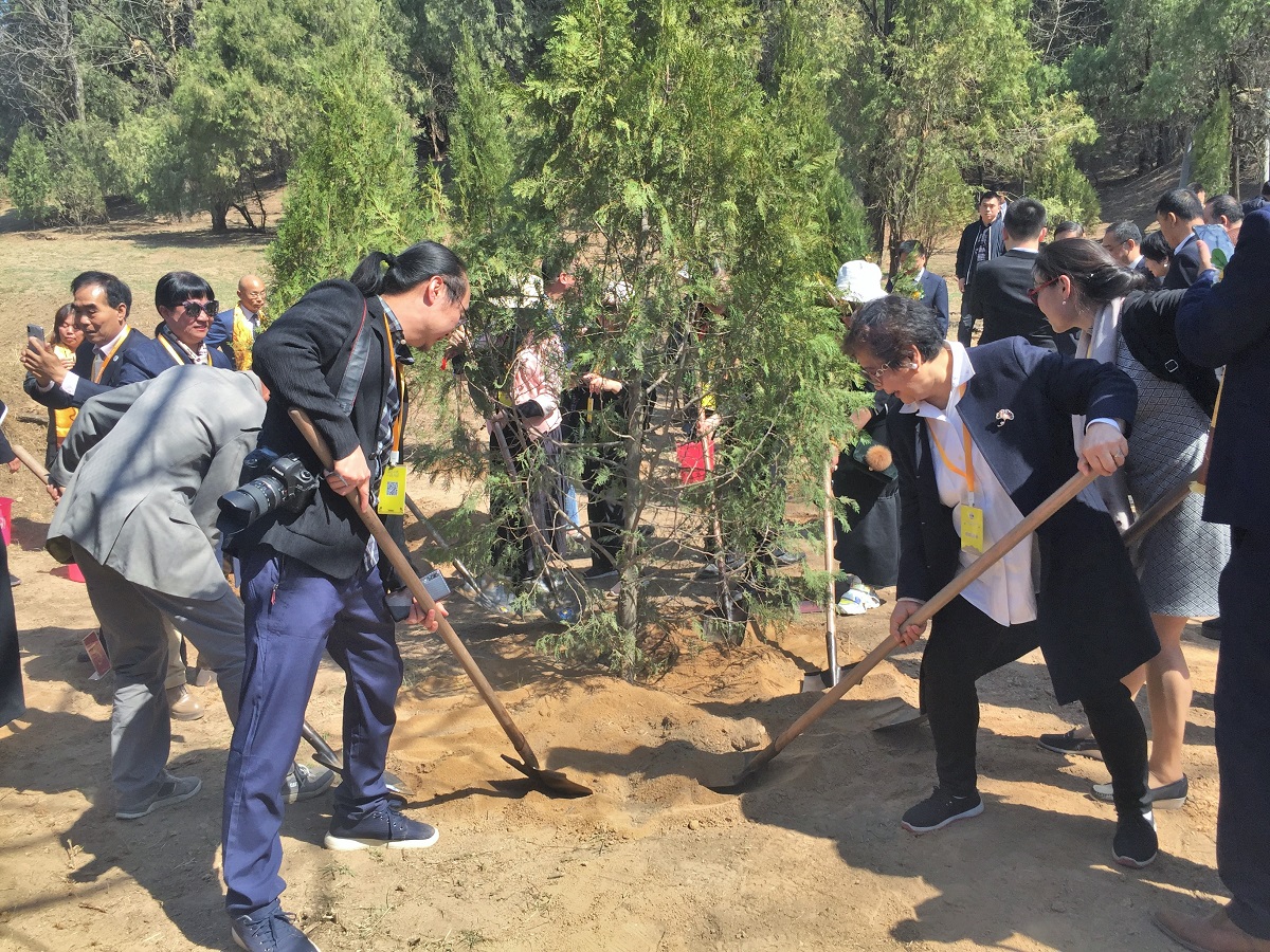 海内外中华儿女代表共同种植“侨心林”为桥山增添新绿